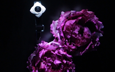 El glamoroso Piaget Rose Day