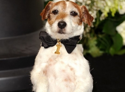 Chopard junto al perro &quot;Uggie&quot;